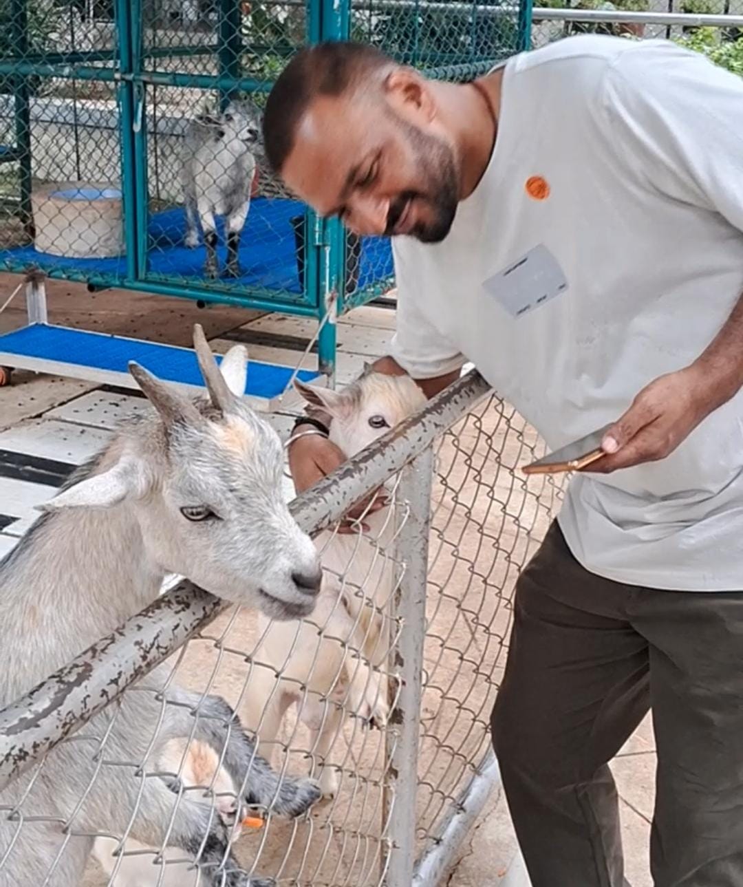 PATTAYA SHEEP FARM (FAMILY PARK PATTAYA)